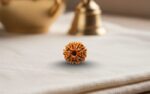 Natural 10 Mukhi Rudraksha