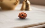 Natural 11 Mukhi Rudraksha