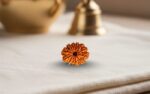 Natural 12 Mukhi Rudraksha