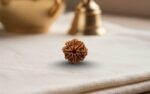 Natural 8 Mukhi Rudraksha