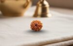 Natural 9 Mukhi Rudraksha