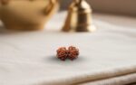 Gaurishankar Rudraksha